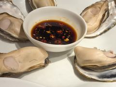 -杨氏青龙虾·羊蝎子(托乐嘉店)