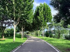 -金银湖国家城市湿地公园