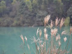 -会稽山峡洞漂流-上青古道