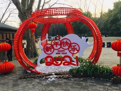 -上海共青森林公园