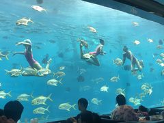 -瑞德姆美人鱼海底演艺主题餐厅(亚龙湾店)