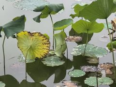 -木塔寺遗址生态公园