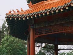 -永安水煮活鱼·仪征土菜院子