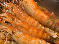 -大龙燚·旷野鲜火锅(广州首店)