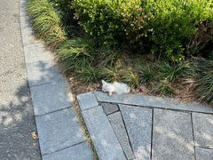 -杭州半山国家森林公园