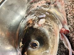 -好灶头妈妈菜·千岛湖土菜地标美食