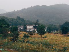 -塔川景区