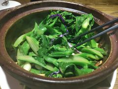 啫啫芥兰苗-广东道至正餐厅(区庄店)