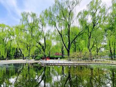 -玲珑塔公园
