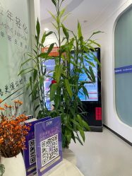 -联合丽格·张菡丽格医疗美容