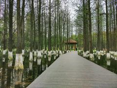 -艾溪湖湿地公园