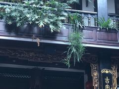 -蔼若春.传承三十年云南菜(金碧公园店)