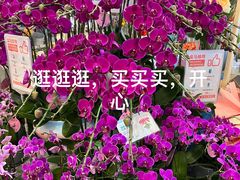 -盒马鲜生(皇庭广场店)