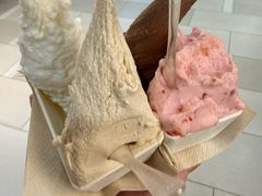 -野人先生现做冰淇淋(北京环宇荟店)