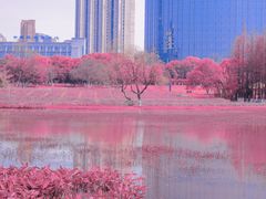 -艾溪湖湿地公园