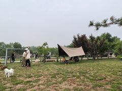 -爪吧宠物乐园 (温榆河示范区店)