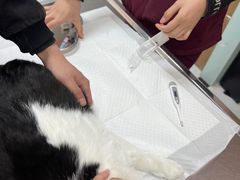 -中农大我爱我爱动物医院·核磁CT·猫病·24小时夜诊中心(石佛营店)