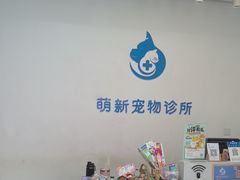 -萌新宠物医院