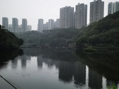 -重庆彩云湖湿地公园