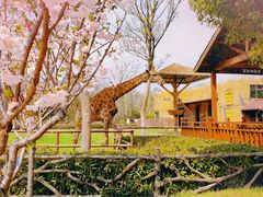 -扬州市茱萸湾风景区