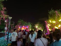 -广西壮族自治区药用植物园