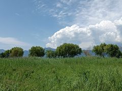 -野鸭湖国家湿地公园