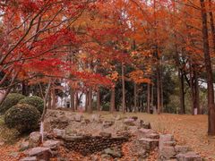 -月湖风景区