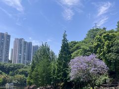 -重庆彩云湖湿地公园