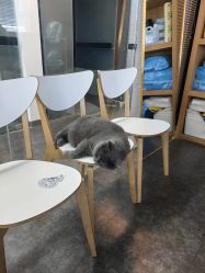 -飛凡TATTOO纹身•原创