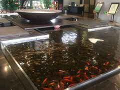 -上海怡沁园度假酒店