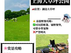 -上海山野camping·户外天幕烧烤·团建拓展营地