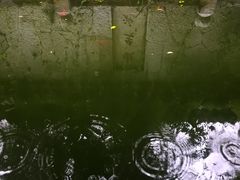 -阳明祠