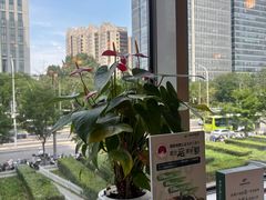 -烹然四季椰子鸡火锅(团结湖总店)