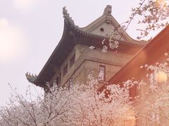 -武汉大学-樱园