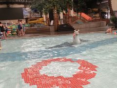 -南宫温泉水世界