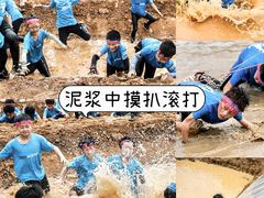 -光明小镇欢乐田园