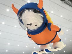 -哈尔滨热雪奇迹