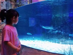 -沈阳海洋探索中心