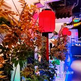 无需出帝都就能品味到江南的水乡之韵和美味江南菜