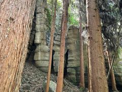 -梭布垭石林景区