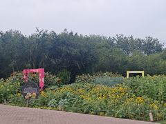 -郑州植物园