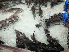 -青石桥市场北1-27号