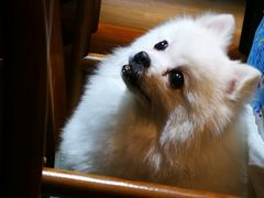 -伽利略剧本探案馆(国贸店)