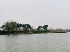 -长兴太湖图影湿地文化园