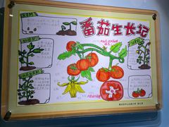 -上海昆虫博物馆