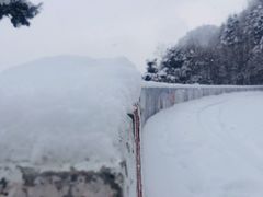 -秦岭风景区