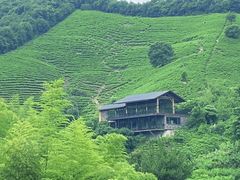 -莫干山风景区