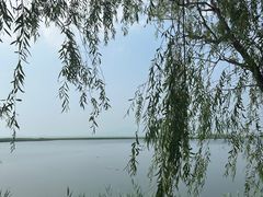 -野鸭湖国家湿地公园