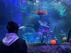 -沈阳海洋探索中心