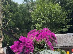 -院8里·少城记忆老川菜(宽窄巷子店)